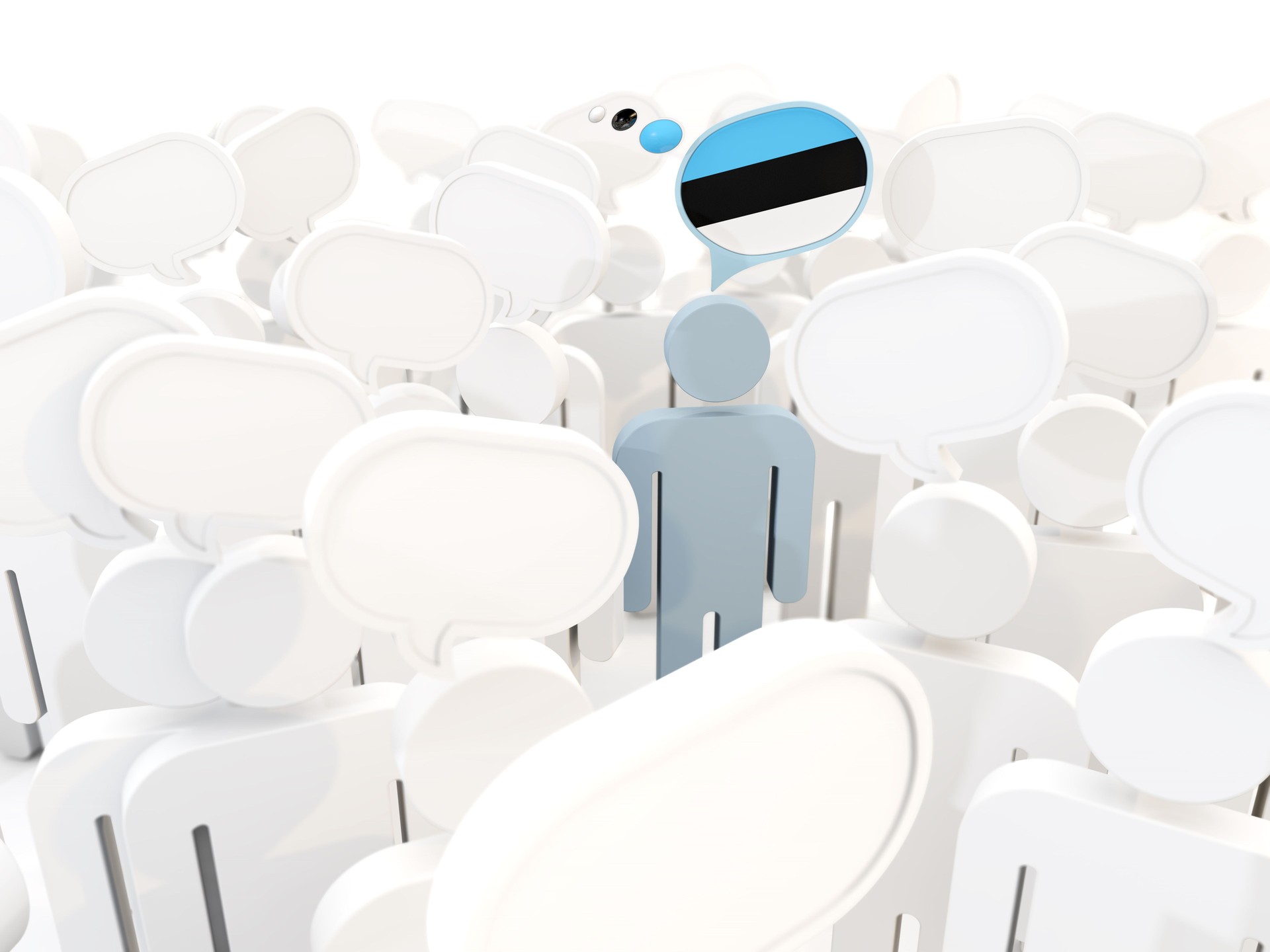 Man with flag of estonia in a crowd